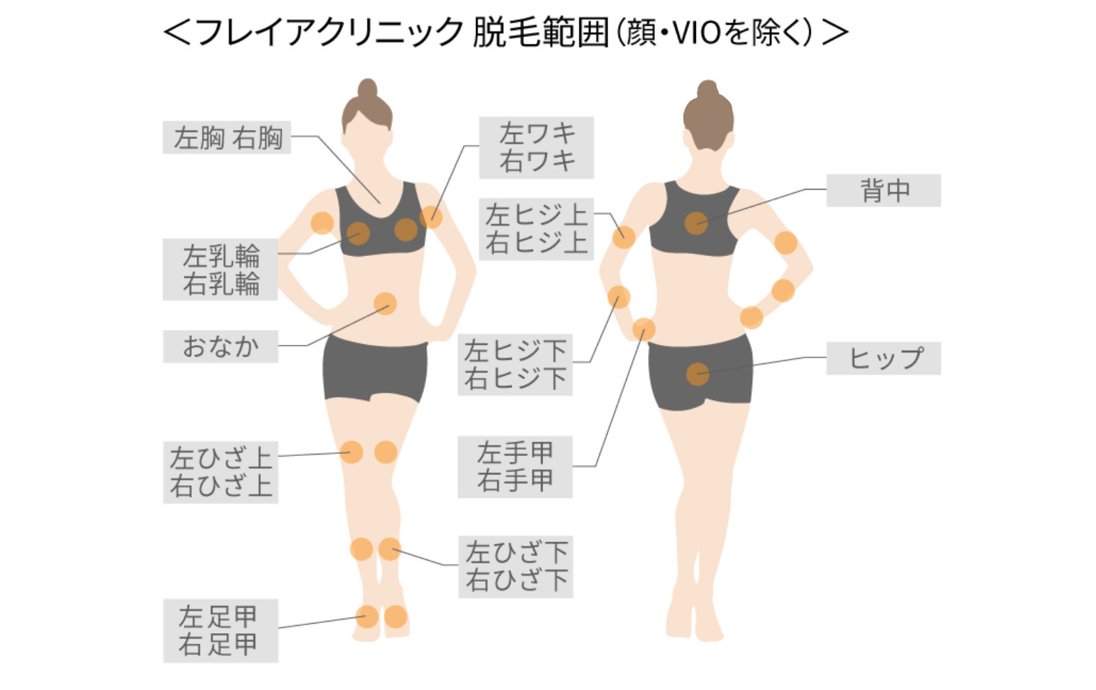 フレイアの基本の全身脱毛（顔、VIO除く）の脱毛範囲