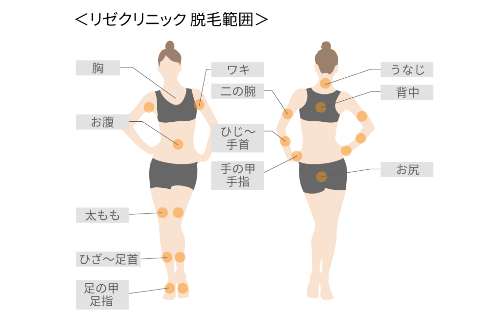 リゼクリニック脱毛範囲(2)