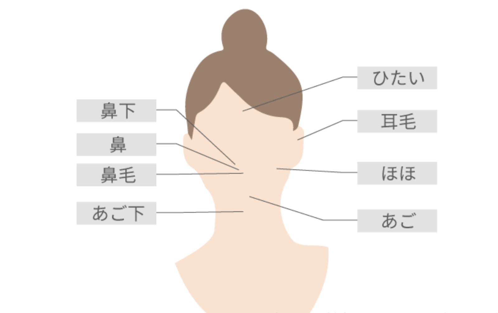 リゼクリニック脱毛範囲(3)