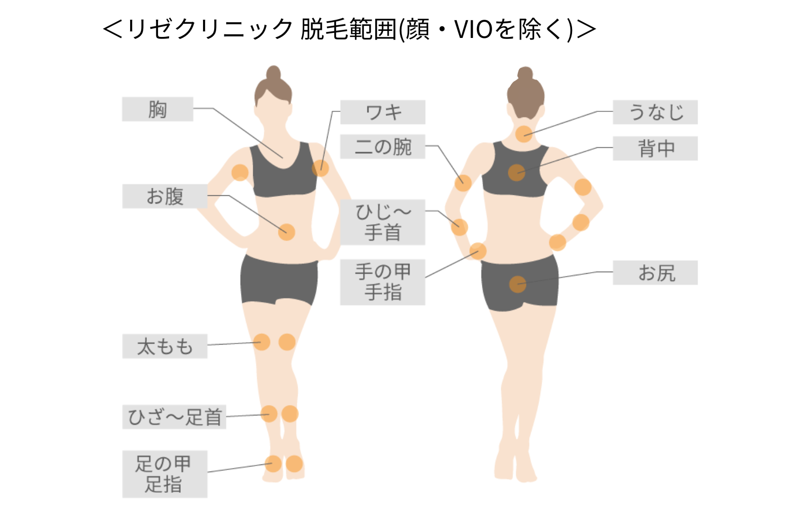 リゼクリニック脱毛範囲(顔・VIOを除く)