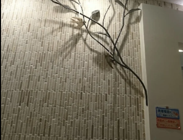 栄セントラル耳鼻科 院内画像3
